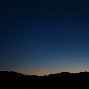 免费人成视频在线影视
