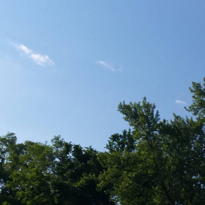 免费人成视频在线影视
