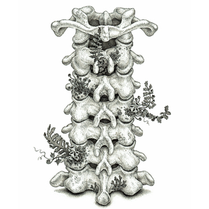 免费人成视频在线影视
